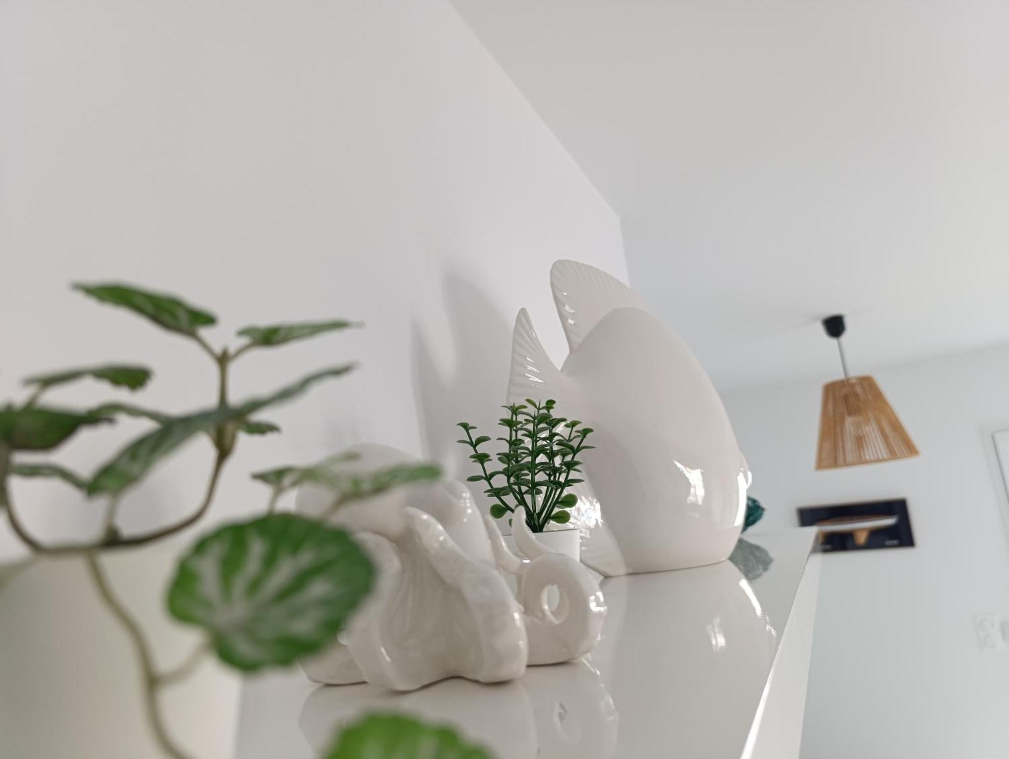 Studio Des Haras Châtelaillon-Plage 외부 사진